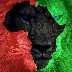 Meet your Posher, Lamar